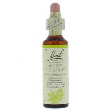 Bach White Chestnut / Paardenkastanje 20 ml 35